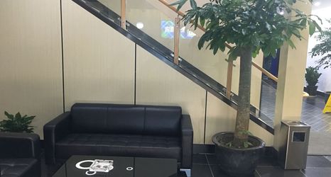 기타 2 tingtingjiudian