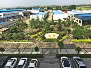 Others 4 Holiday Inn Neixiang Shengshi