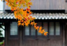 Others 5 Dapengshan Hotel Hot Spring Nanshu