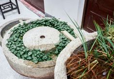 Others 7 Huameishi Homestay (Liancheng Guanzhai Mountain Scenic Area)