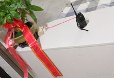 Others 4 Fuyang Feifei Homestay