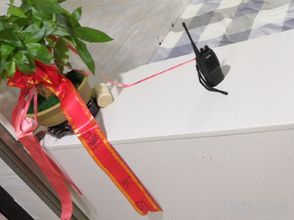 Others 4 Fuyang Feifei Homestay