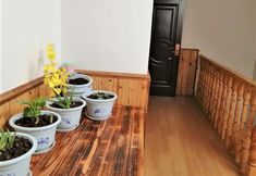 其他 3 Furong Town Lushi Spring and Autumn B&B