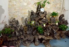 Lain-lain 5 Yuxi Jinyan Hotel