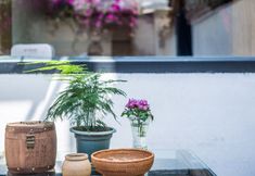 Others 4 Dali Zhuo Yuan Inn (Erhai Branch of the Ancient City)