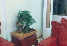 其他 7 Wushan Shijia Hotel