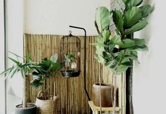 기타 4 Xiangfeng Chuanshe Hotel