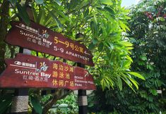 其他 3 lingshuixiangshuiwanhongkanhaijingdujiagongyu