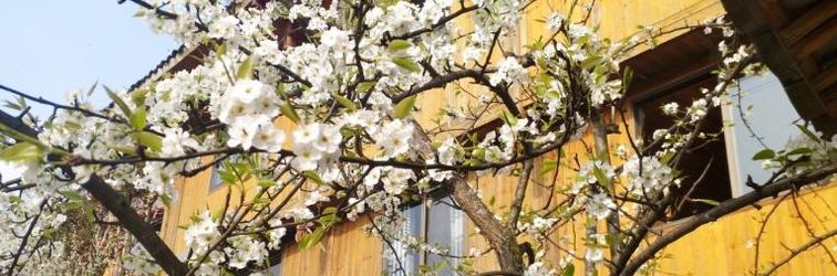 Lain-lain Longji Rice Terraces Jiamei Pavilion