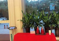 其他 7 Vienna Hotel (Guangzhou Panyu Yayuncheng)