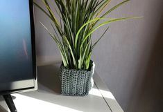 Lain-lain 2 Tianjin Lulujia Star Apartment