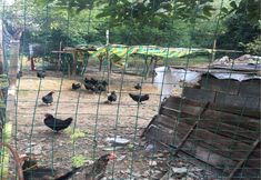 อื่นๆ 4 Lanyue Mountain House Inn (Former Residence Scenic Area Branch)