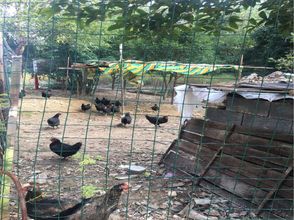 อื่นๆ 4 Lanyue Mountain House Inn (Former Residence Scenic Area Branch)