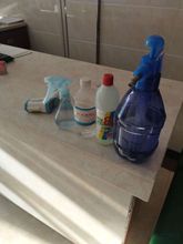 Others 4 Xinye Qicaihong Express Hotel