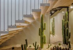 Others 5 Medifu Light Luxury Hotel (Chengdu Kuanzhai Alley Huapaifang Metro Station Branch)