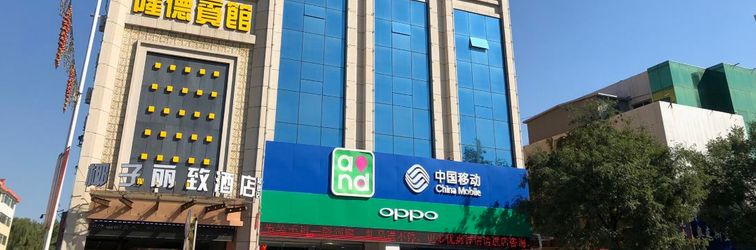 その他 Coconut Lizhi Hotel