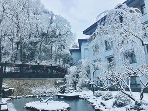 Others 4 Liutong Hotel