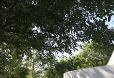 Lainnya 7 Rustic Charm Inn