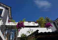 其他 5 Floral Hotel·DALI LUTAI GUEST Hotel