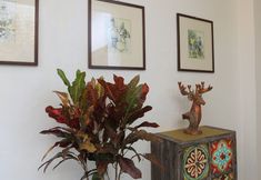 Lainnya 2 Rare Heritage House