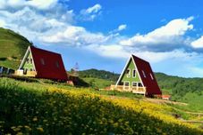 其他 Guanshan Grassland RV Camp Hotel