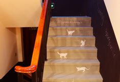 Others 4 Benjamin & Sammy's Hostel