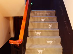 其他 4 Benjamin & Sammy's Hostel