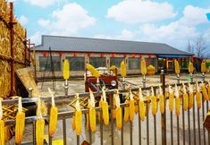 Others 6 Zhao Si Inn (Rime Island Scenic Area Branch)