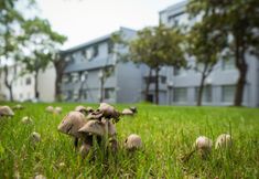 기타 4 Lavande Hotels (Shanghai Hongqiao Railway Station National Convention and Exhibition Center)