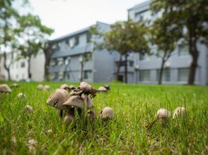 기타 4 Lavande Hotels (Shanghai Hongqiao Railway Station National Convention and Exhibition Center)