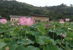 Others 3 Yunshui Yaotianfa Homestay