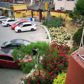 Hotel Exterior 1 Homeinn · neo (天津水上公園天塔地下鉄駅), 大学城 ホテル