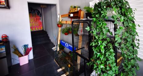 Others 2 Shanghai Suyin Chinese Inn