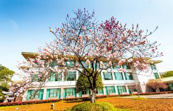 Lainnya 4 Biyuyuan Hotel