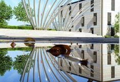 อื่นๆ 6 Grand Palace Hotel