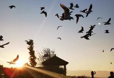 Others 3 Dianchi Shuyu Meisu (Ecological Peninsula Branch)