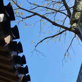 Hotel Exterior 1 Beijing Templeside-Lianlian Hutong House, Hotel Bekas Kediaman Soong Ching Ling