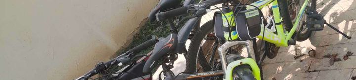 Others 4 Moganshan Houxiang Mountain Residence Homestay