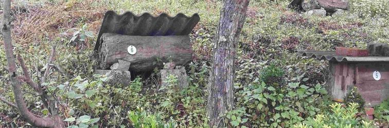 Others Fengchaoyizhan