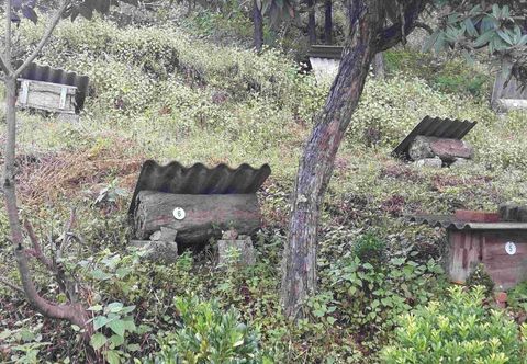 Others Fengchaoyizhan