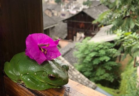 Others Arab Aphrodite Auberge