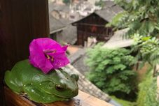 Others Arab Aphrodite Auberge