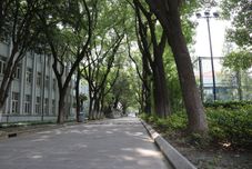 อื่นๆ Haishi Hostel