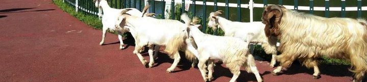 Others 2 Nanjing Xiaocao Shuiyun Hotel