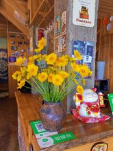 その他 4 Miaowo Youth Hostel