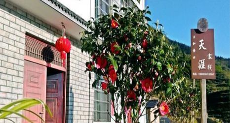 Others 2 Yunhe Terraced Fields Tianya Homestay