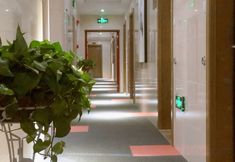 Others 6 Happy Road Chain Inn Co.,Ltd. Collection Hotel (Hefei Feidong People's Hospital)