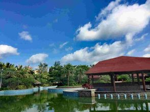 其他 4 lingshuixiangshuiwanhongkanhaijingdujiagongyu