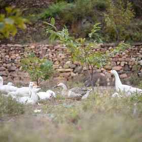Hotel Exterior 1 ソウル ハンシェ ボル マタン コートヤード, 雙橋区 ホテル