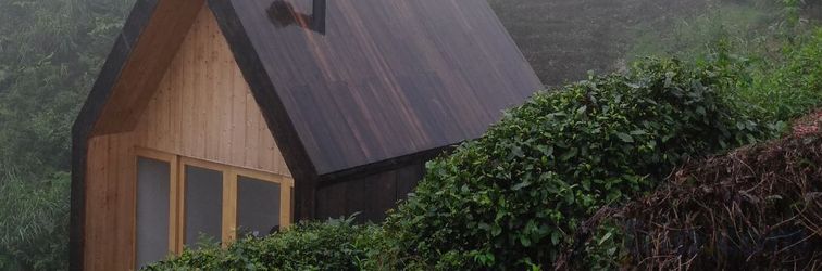 Others Longxingchong TeaTel Hostel